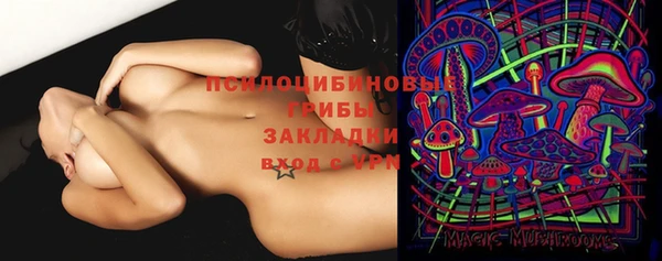 каннабис Белокуриха