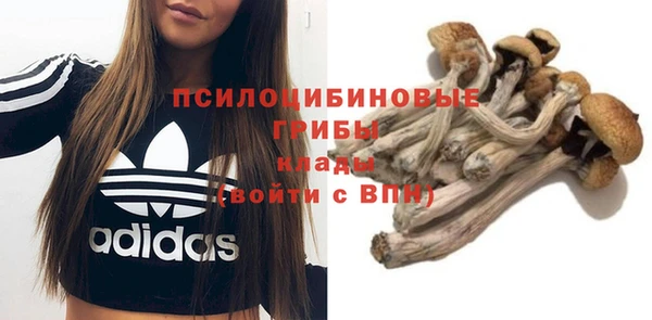 jwh Сосновка